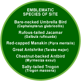 La Selva Biological Station emblematic species