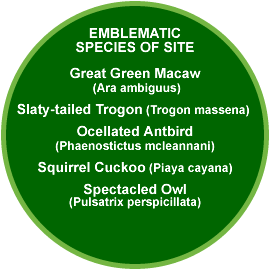 Finca Pangola emblematic species