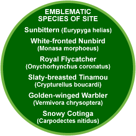 Tirimbina Rainforest Center emblematic species